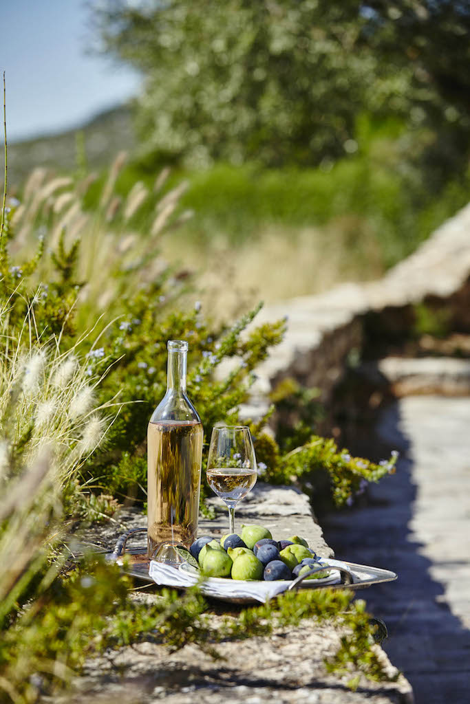 The Guide to the Best Provence Rosé Wine4Food
