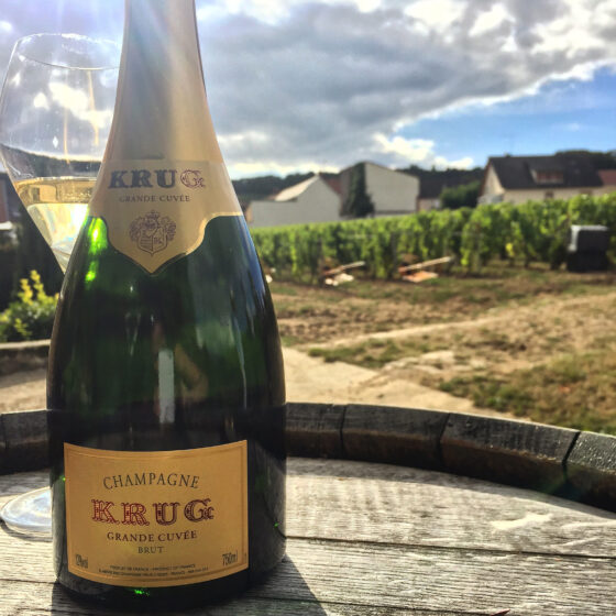 Champagne_Krug_Vineyard