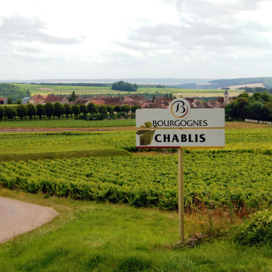 Chablis_Countryside_France_Wine4Food
