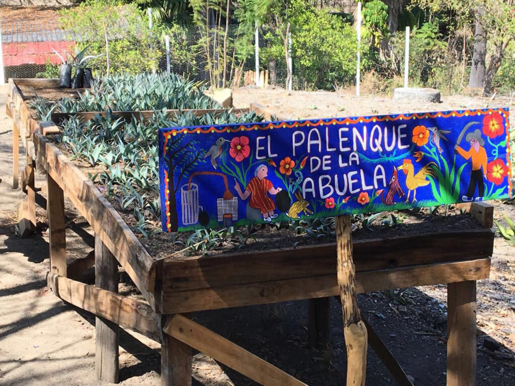 Mezcal_Agave_Cultivation_Sustainability_Wine4Food