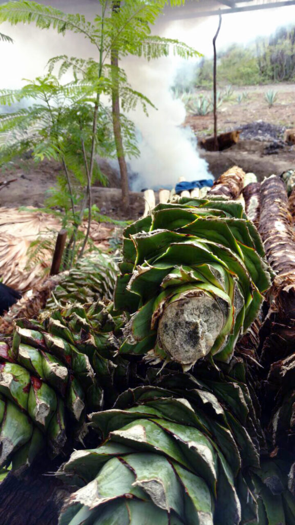Mezcal_Piñas_Earth_Oven_Smokey_Wine4Food