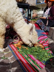 Peru Cusco San Pedro Market - Wine4Food