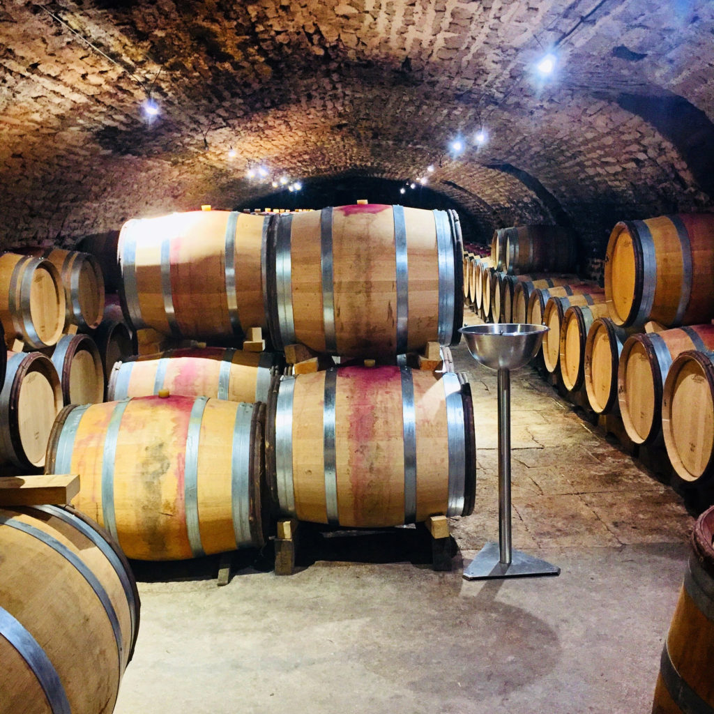 Traveling Somm Burgundy_Cellar at Lucien Lemoine