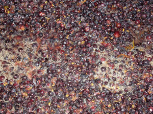 maceration, orange wine, grape, skins - Wine4Food