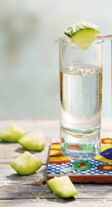 Tequila in Glass with Lime - Wine4Food