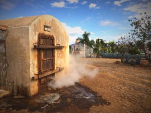 Tequila, Agave Pina Steaming Horno, Brick Oven - Wine4Food