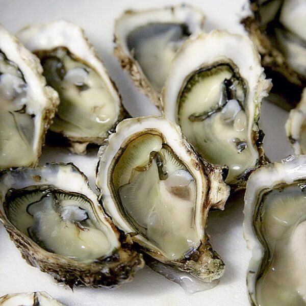 Oysters Bienville Wine4Food