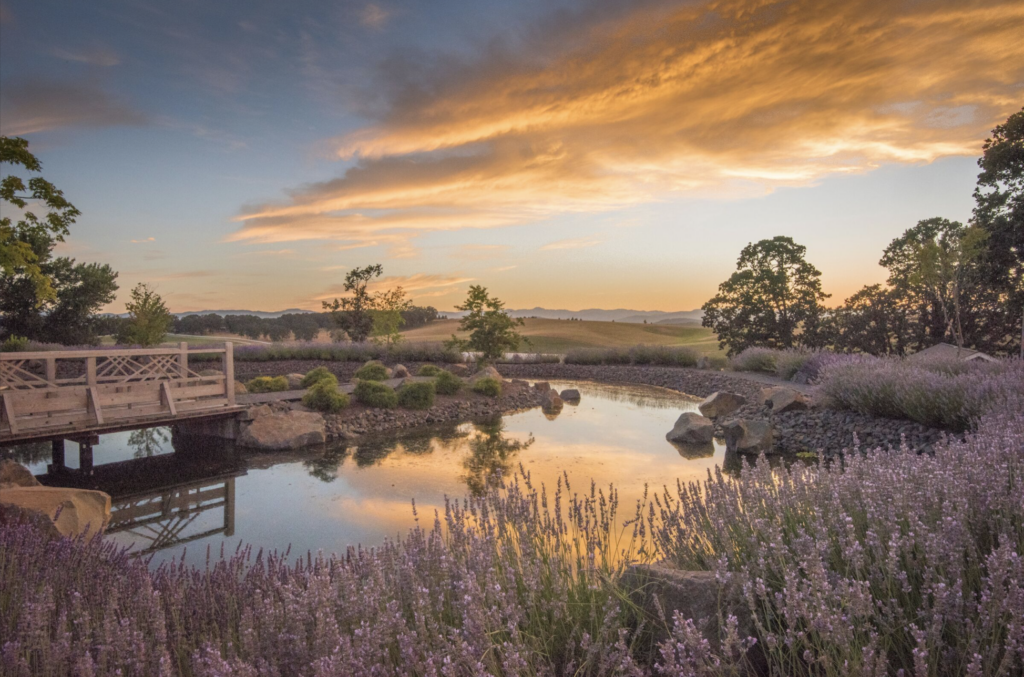 The Best Views in Oregon Wine Country - Wine4Food