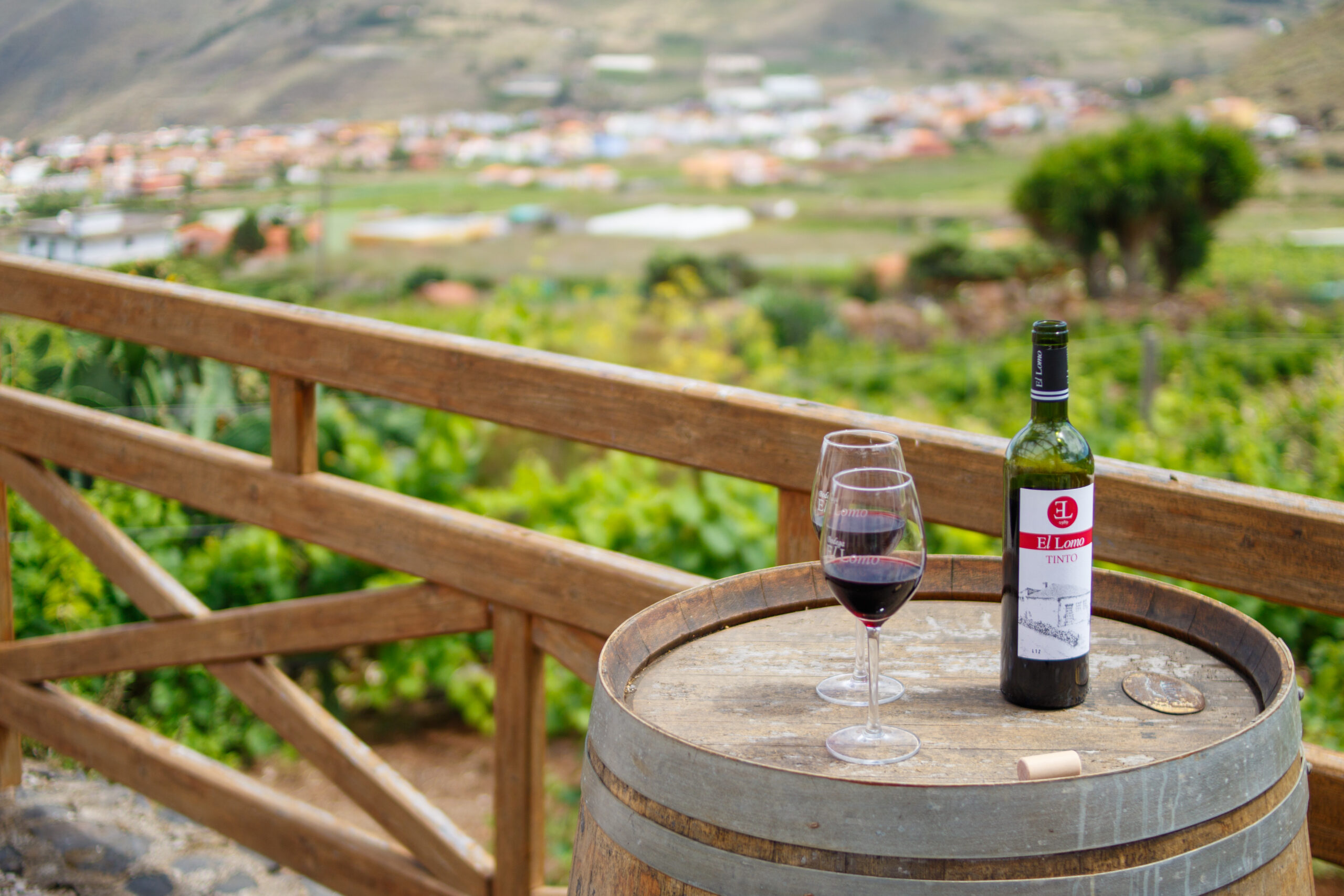 What You Need to Know About Tenerife Wines Wine4Food