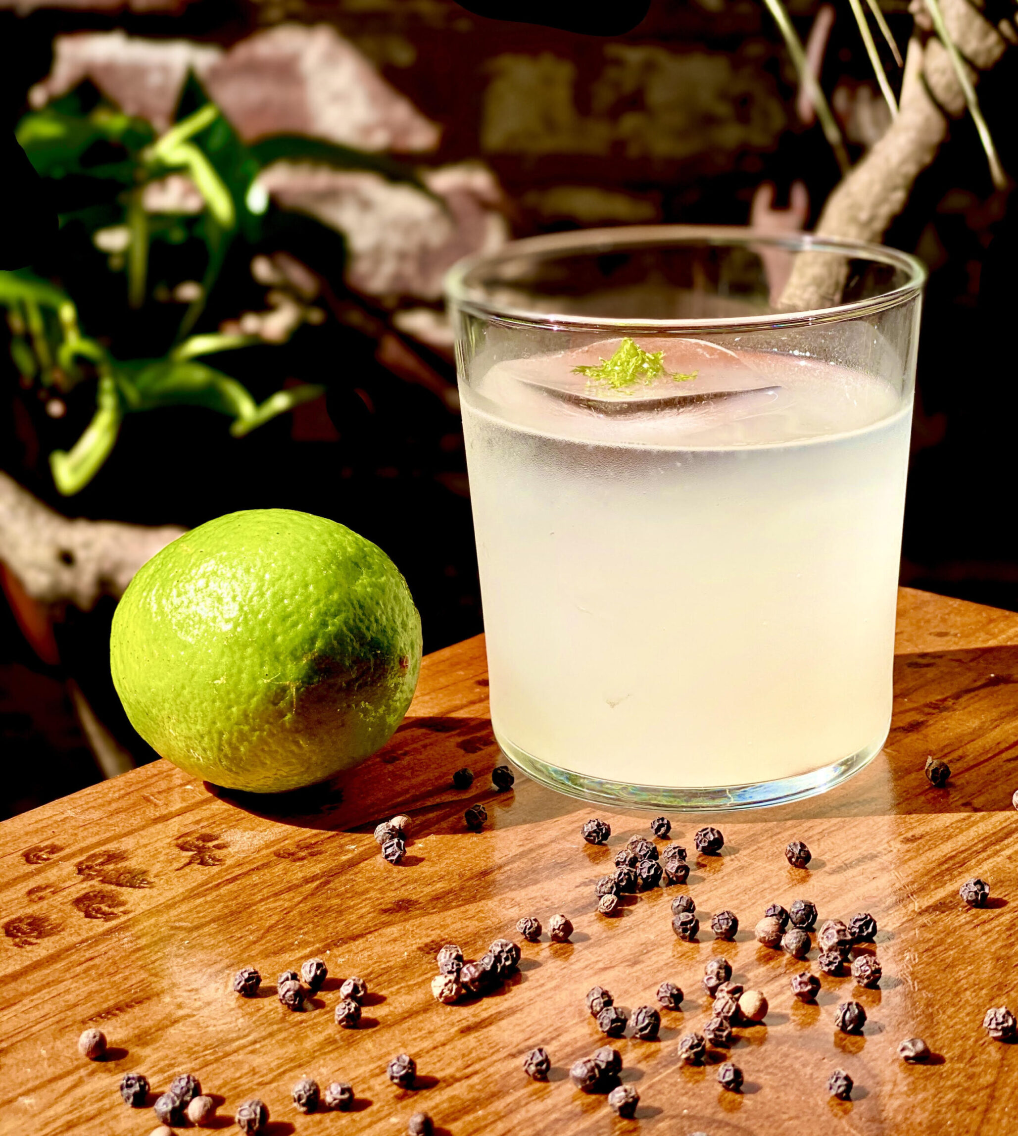 A Stirred Tequila Cocktail for Cinco de Mayo Wine4Food